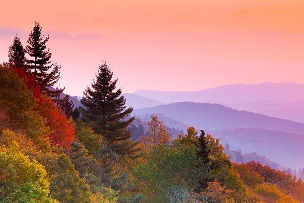 Dreams Come True With This Luxury Cabin! Gatlinburg Exteriör bild