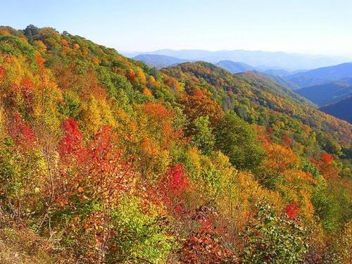 Dreams Come True With This Luxury Cabin! Gatlinburg Exteriör bild